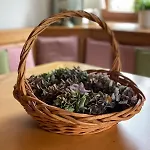 公寓 Urlaub Auf Dem Werl Hof 波金格